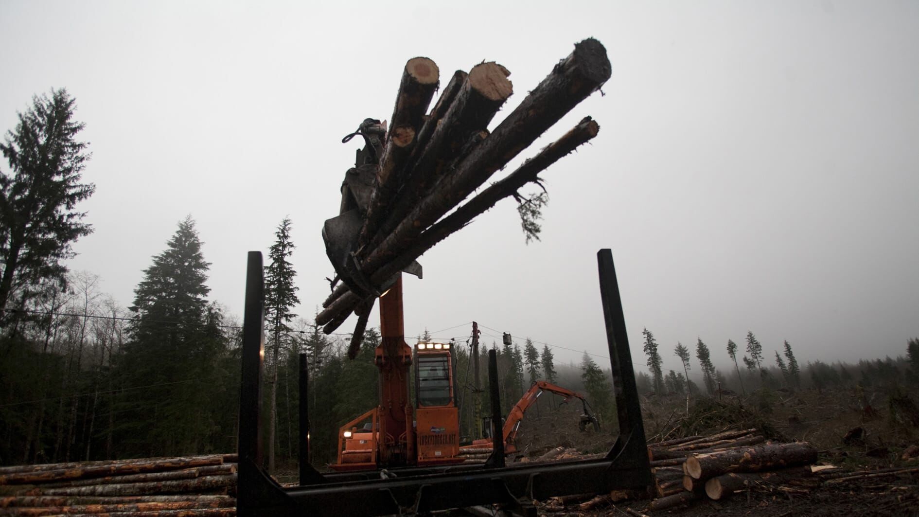Holzfäller extrem