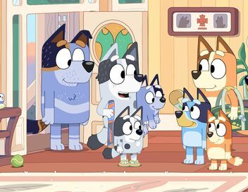 Bluey