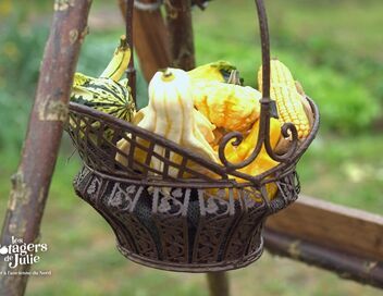Les potagers de Julie