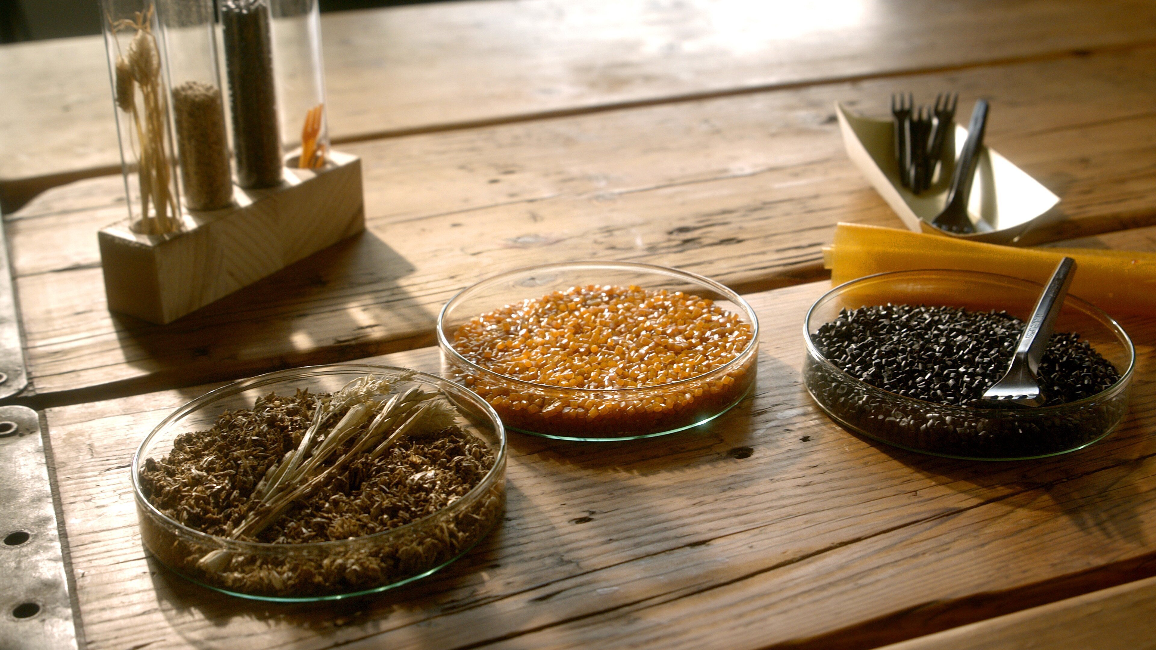 Eine Gesellschaft ohne Müll