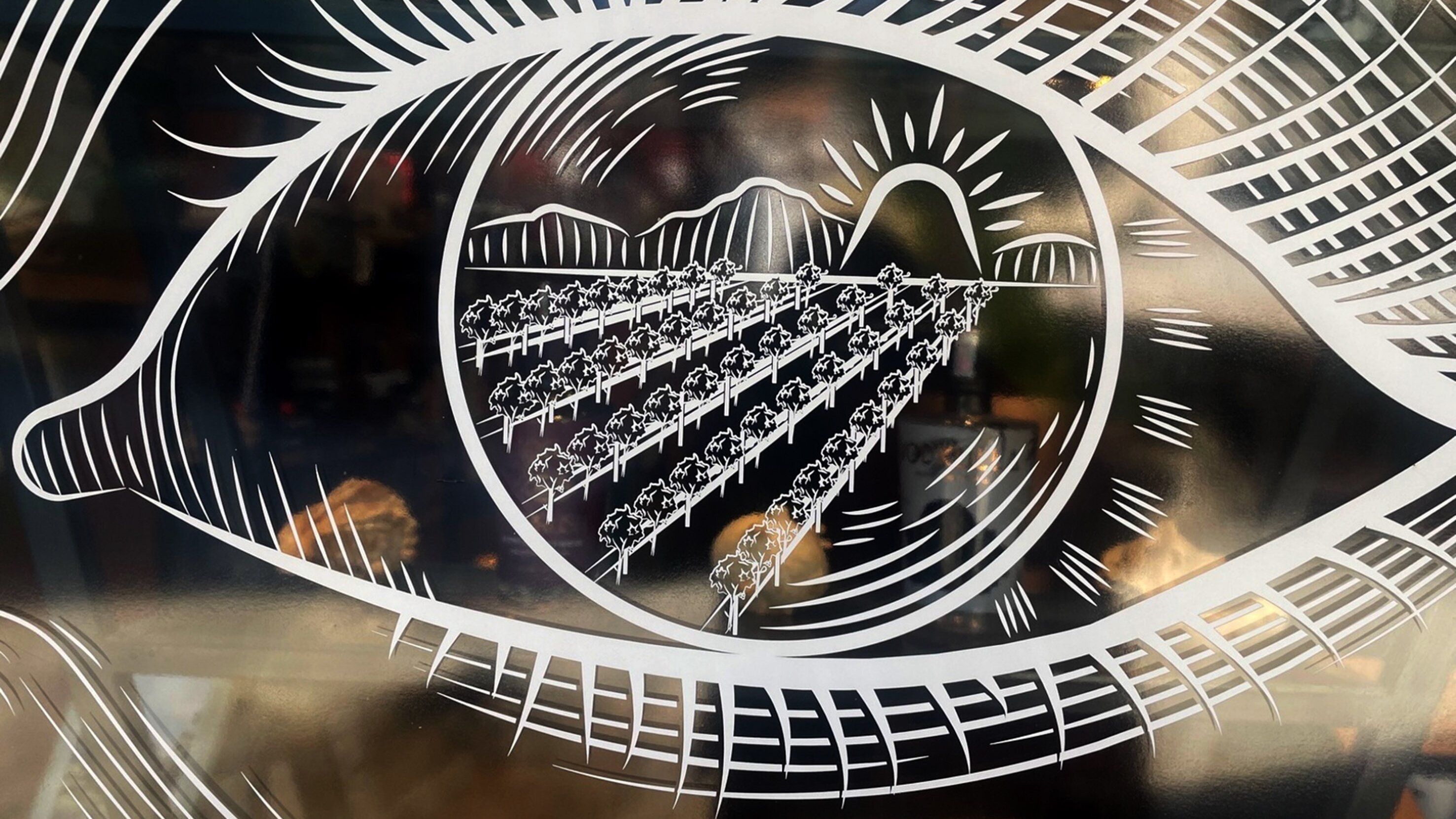 Kosovo: alte Kräuter, neuer Geist