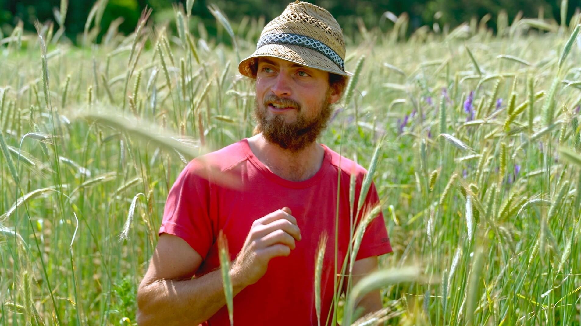 Lust aufs Land – Bayerische Hofgeschichten