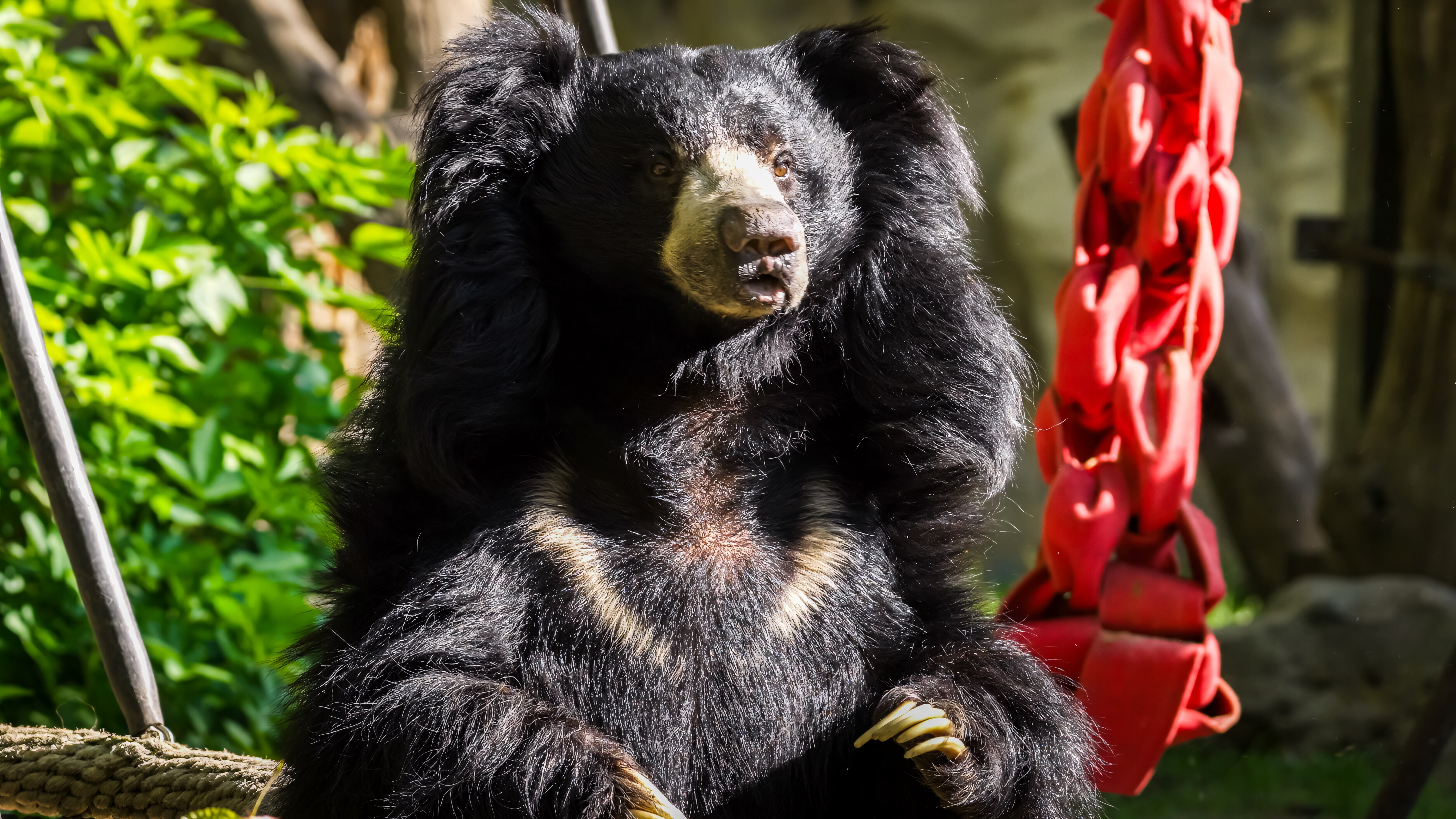 Elefant, Tiger & Kids: Zoo-Praktikum Backstage