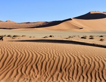 Namibie sauvage