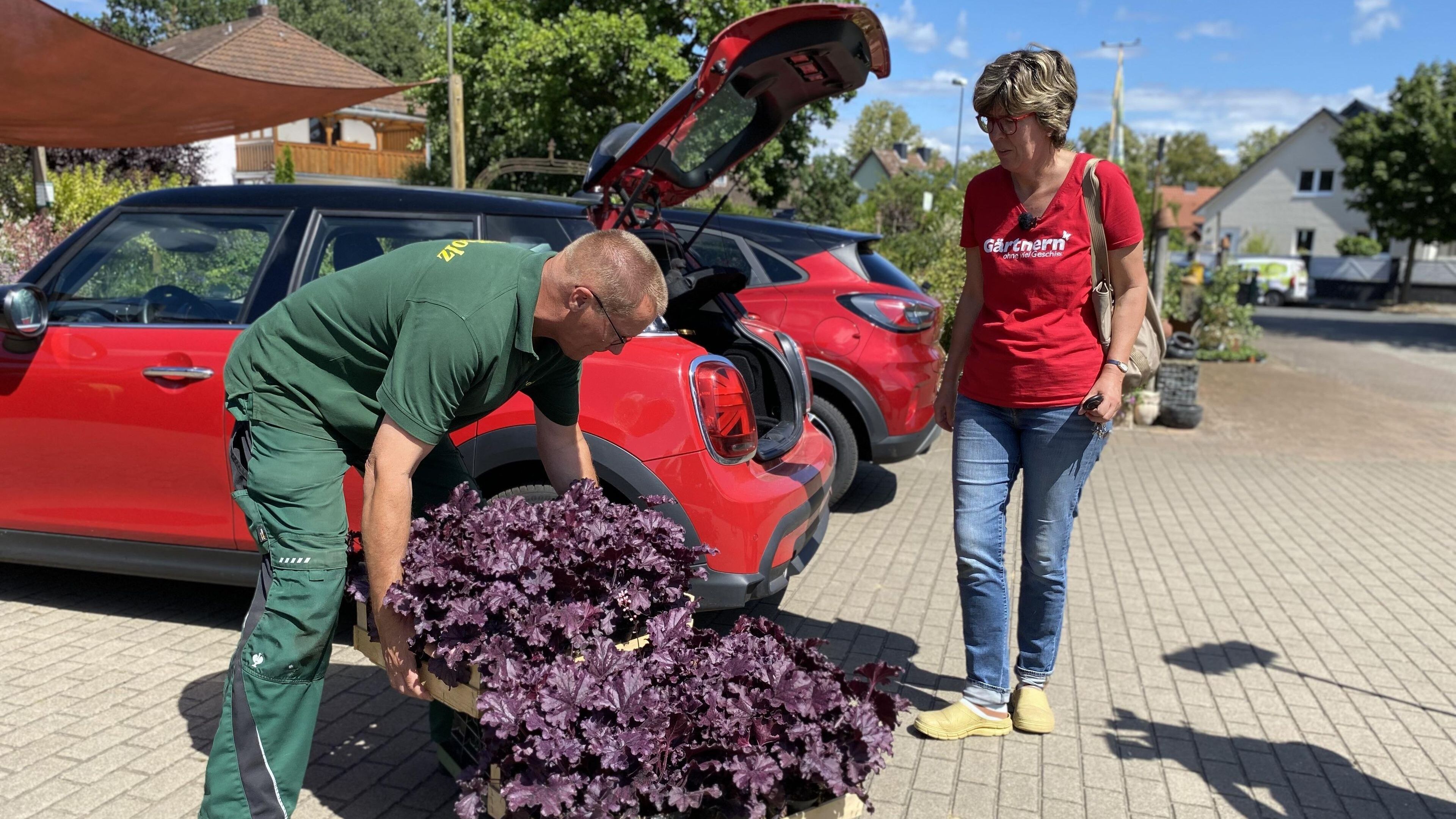 Pimp meinen Garten – von Outdoorküche bis Megabeet