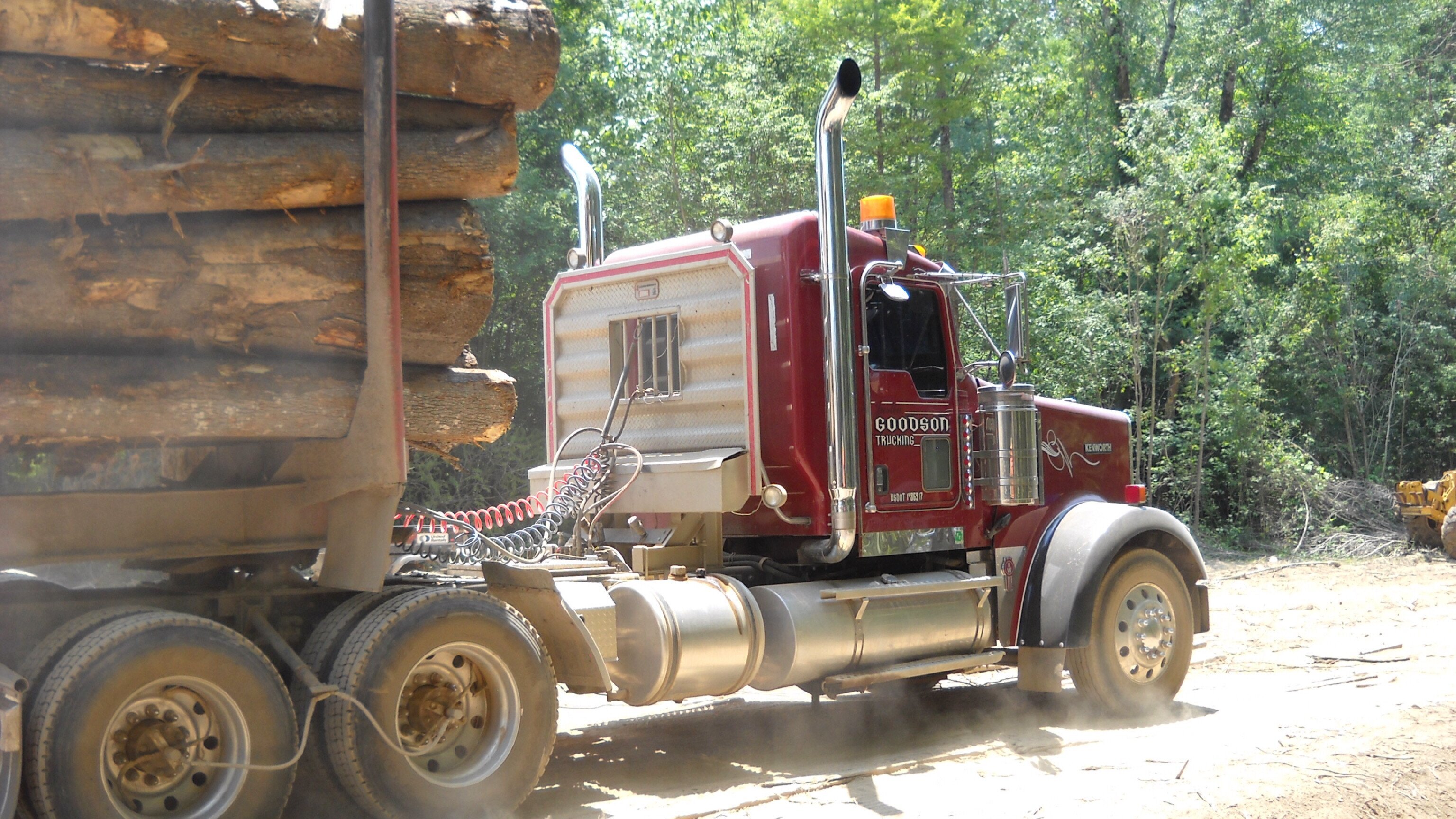Holzfäller extrem