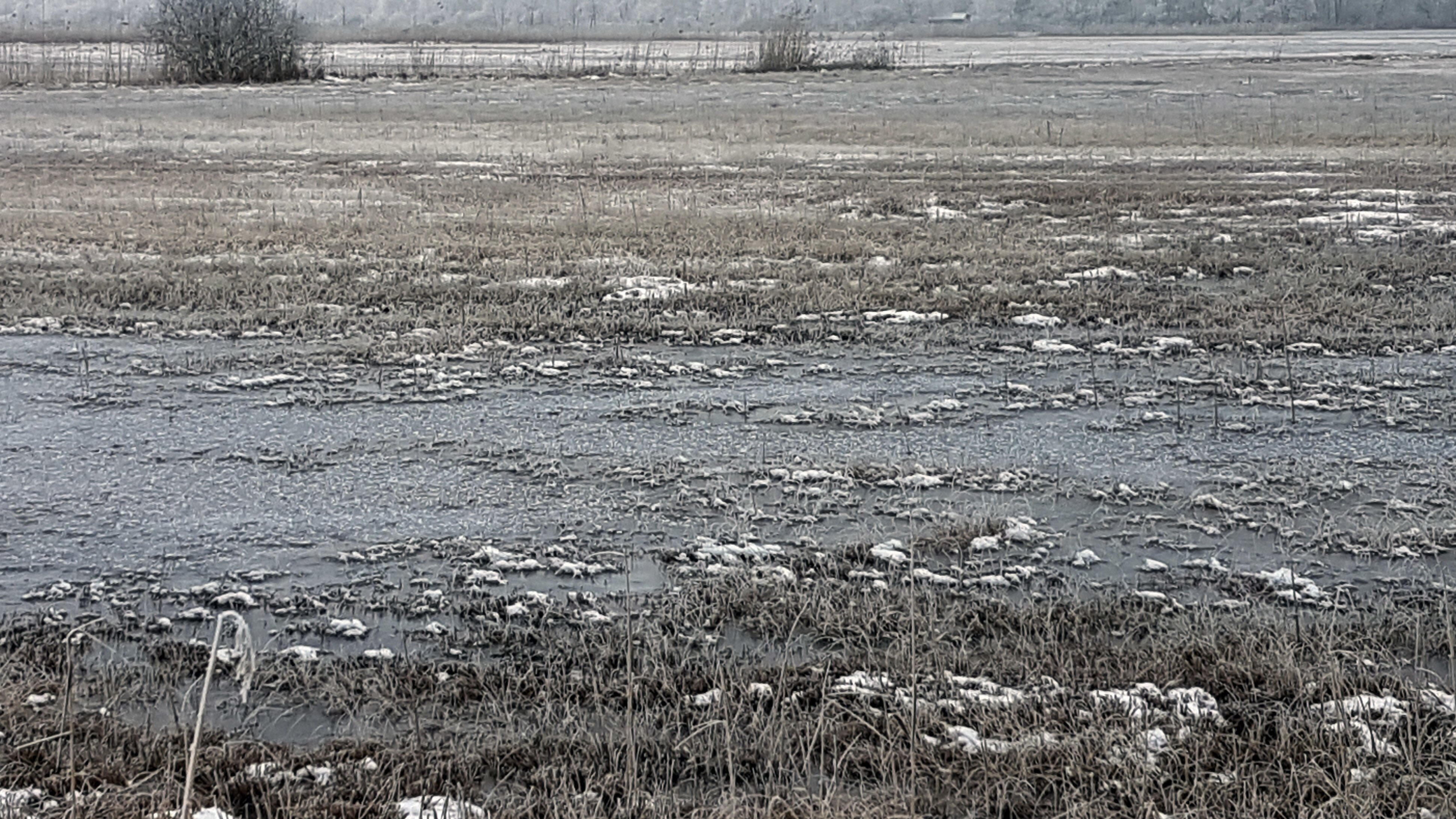 Faszinierender Bodensee