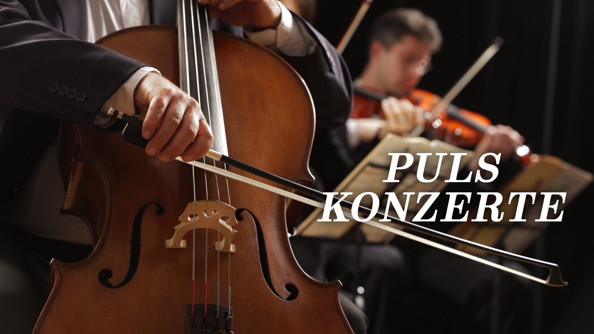 PULS Konzerte