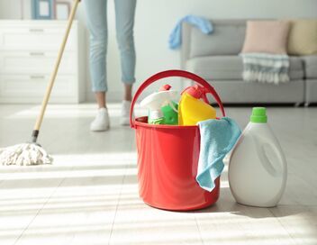 Cleaners les experts du ménage