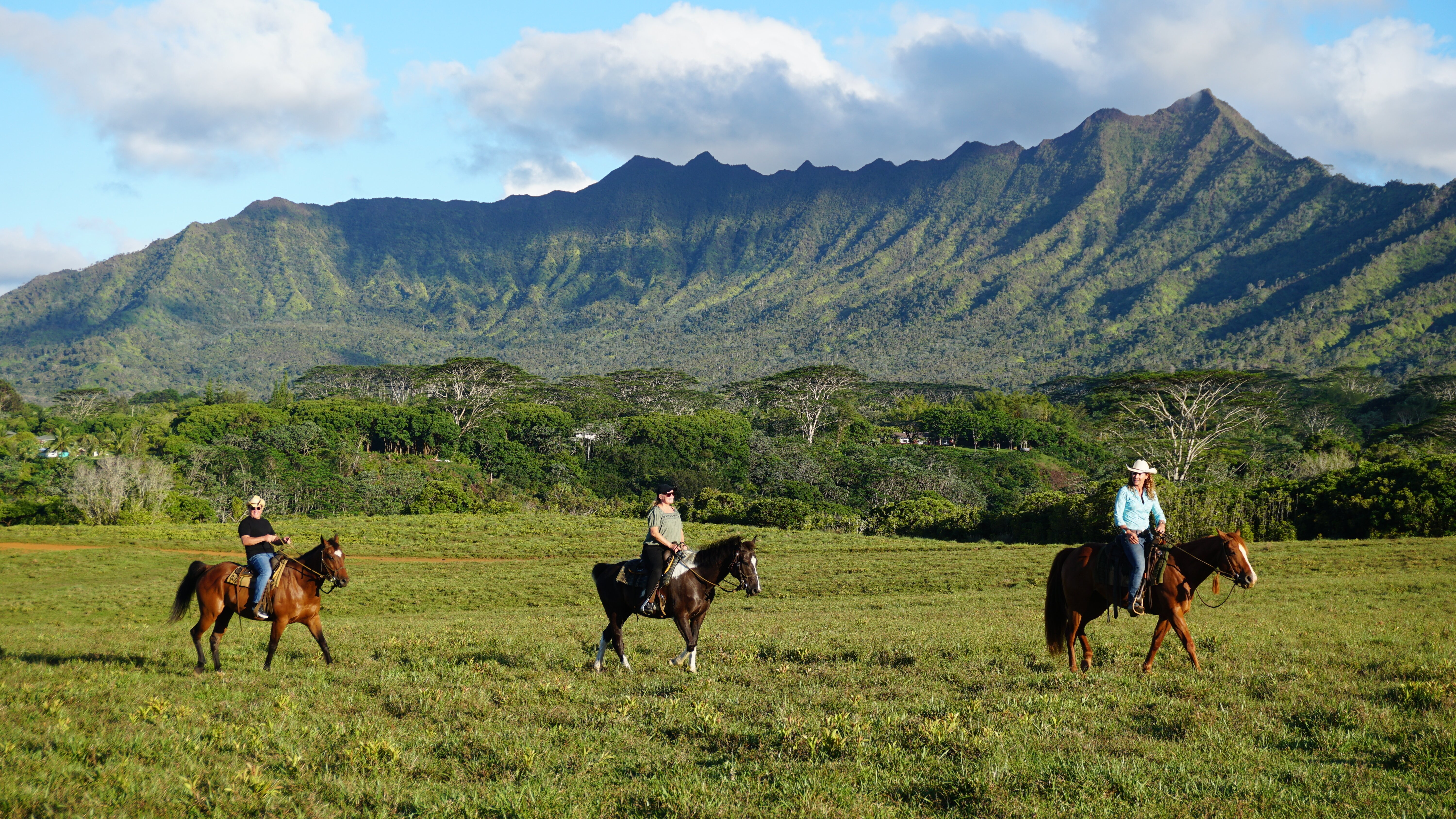 Hawaii Hunters