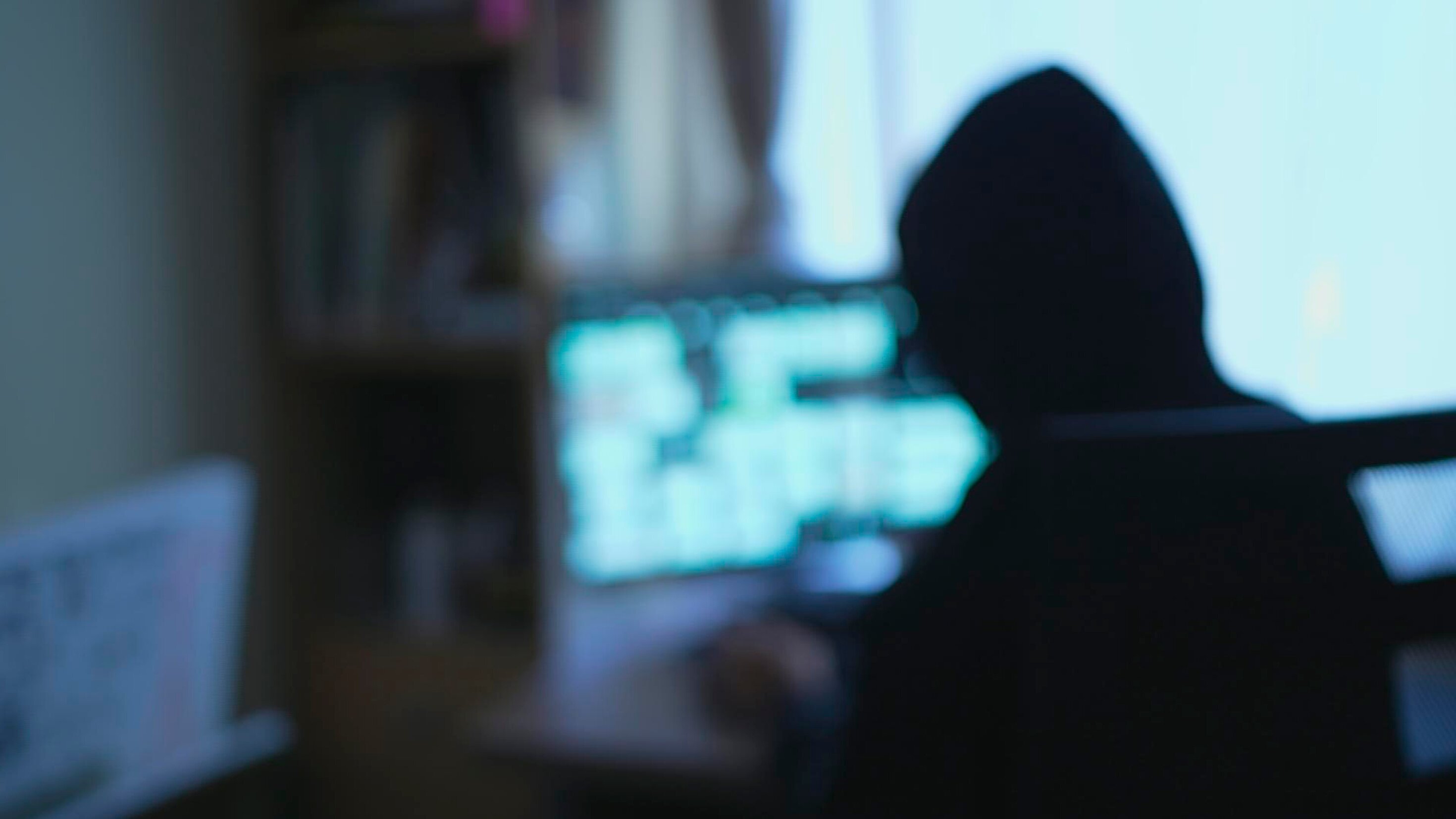 Cybercrime – Alarmstufe rot