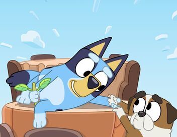 Bluey