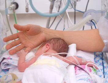 Baby boom