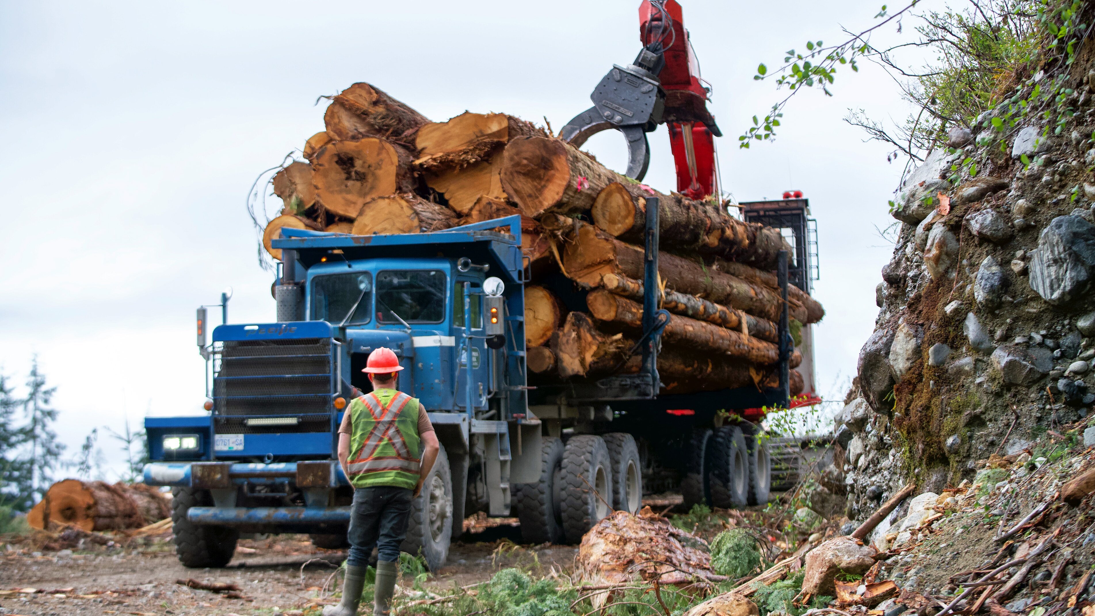 The Last Woodsmen – Holzfäller am Limit