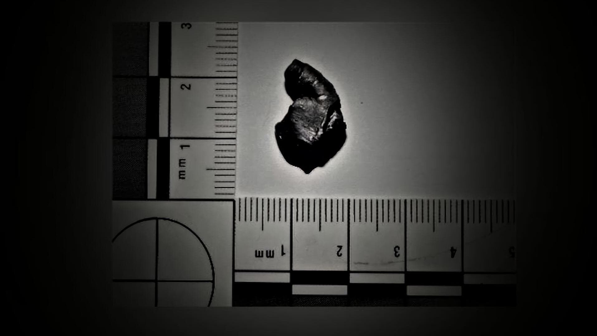 Österreichs schockierendste Verbrechen