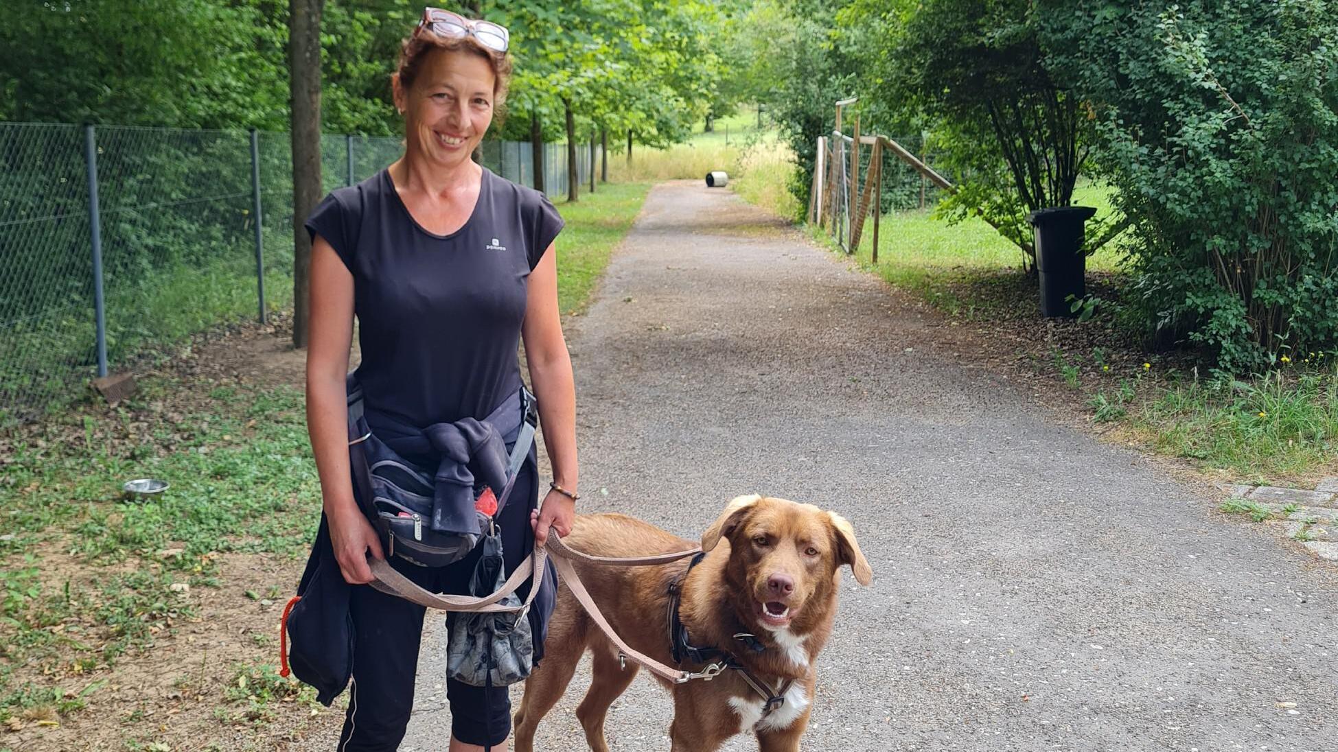 Der Hundeprofi – Rütters Team