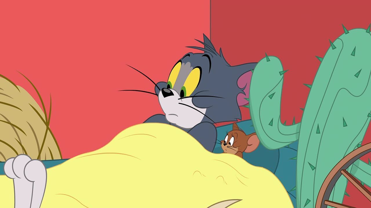 Die Tom und Jerry Show