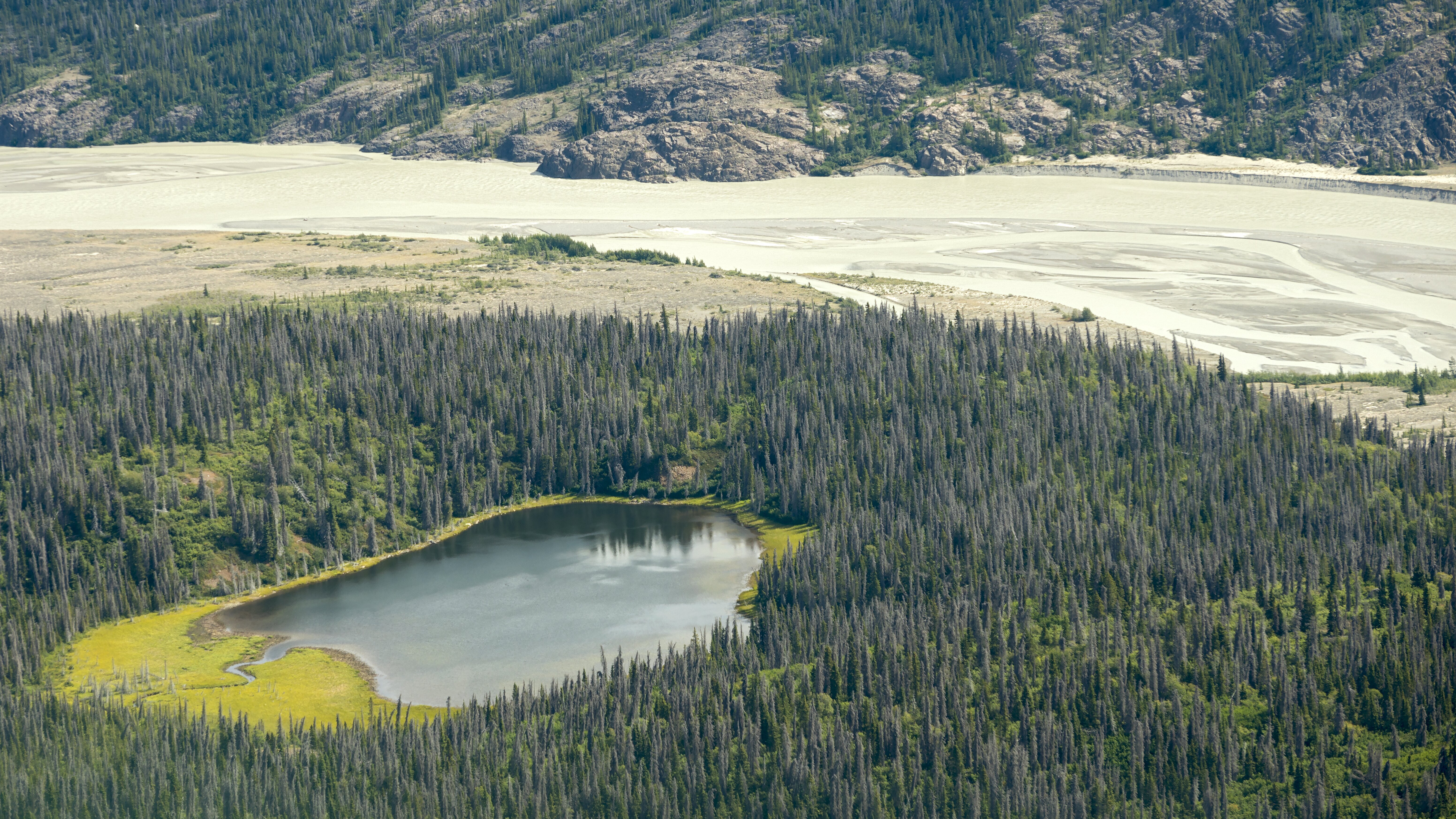 Die Schatzsucher – Goldrausch in Alaska