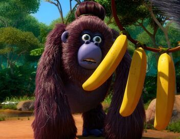 Les as de la jungle à la rescousse