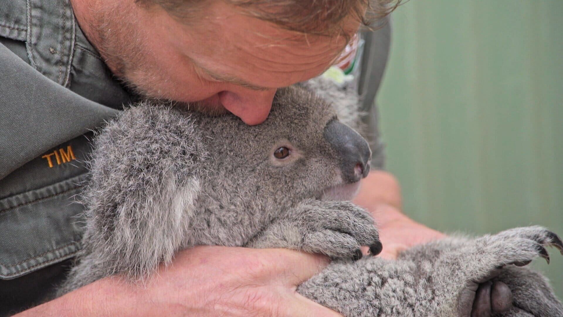 Australiens Tierrettung – Einsatz am Bondi Beach
