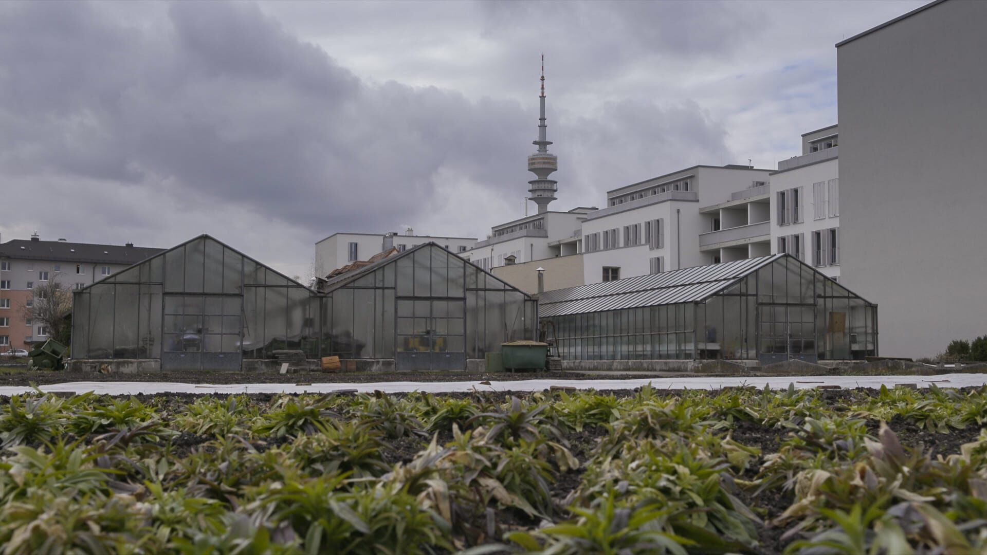 Münchner Gärtnereien – Vom Frühjahr bis zum Herbst