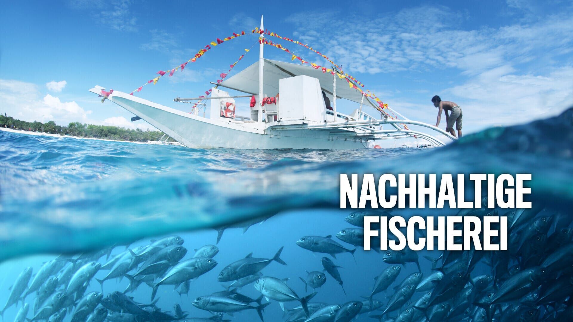 Nachhaltige Fischerei