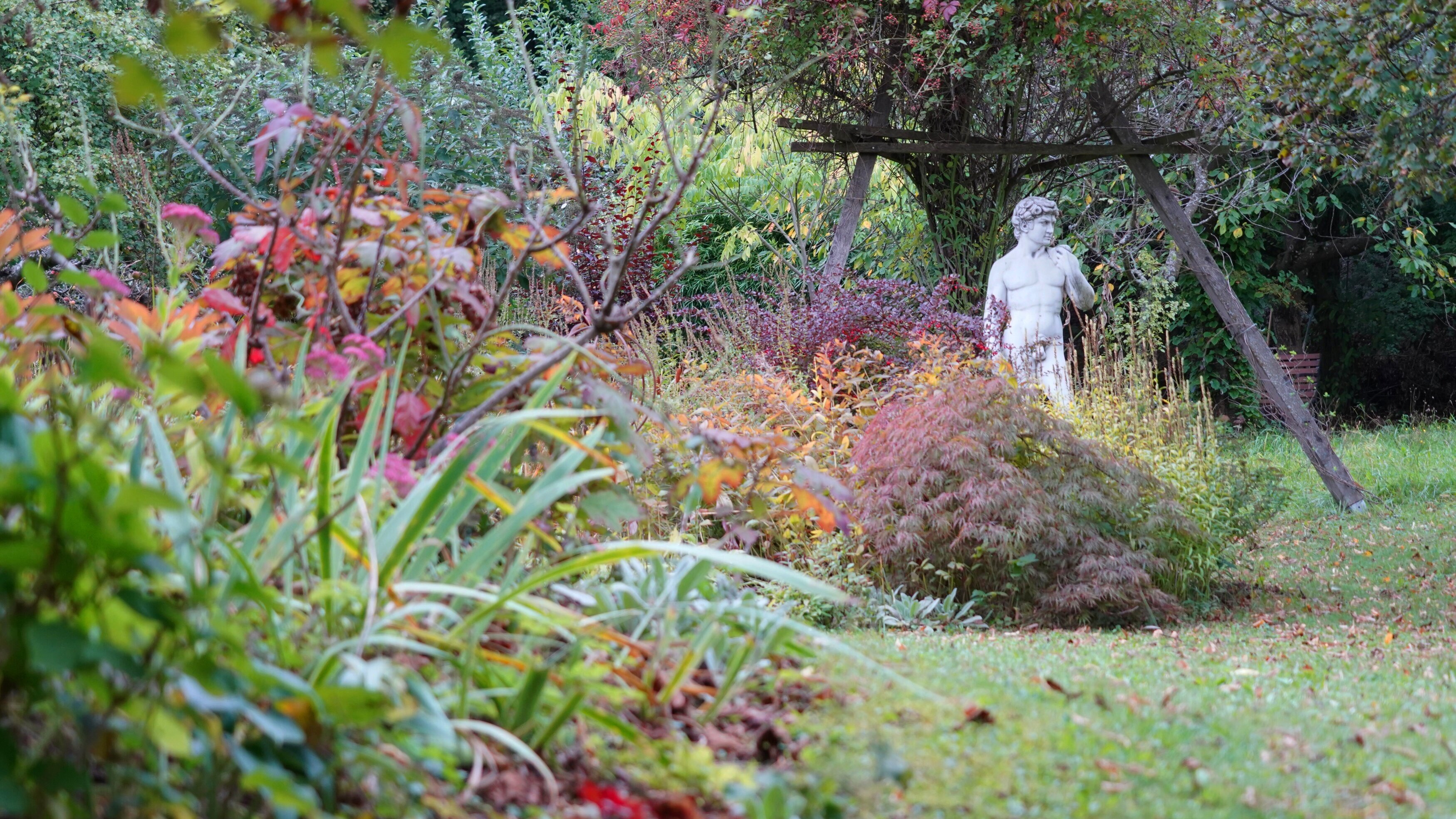Natur im Garten