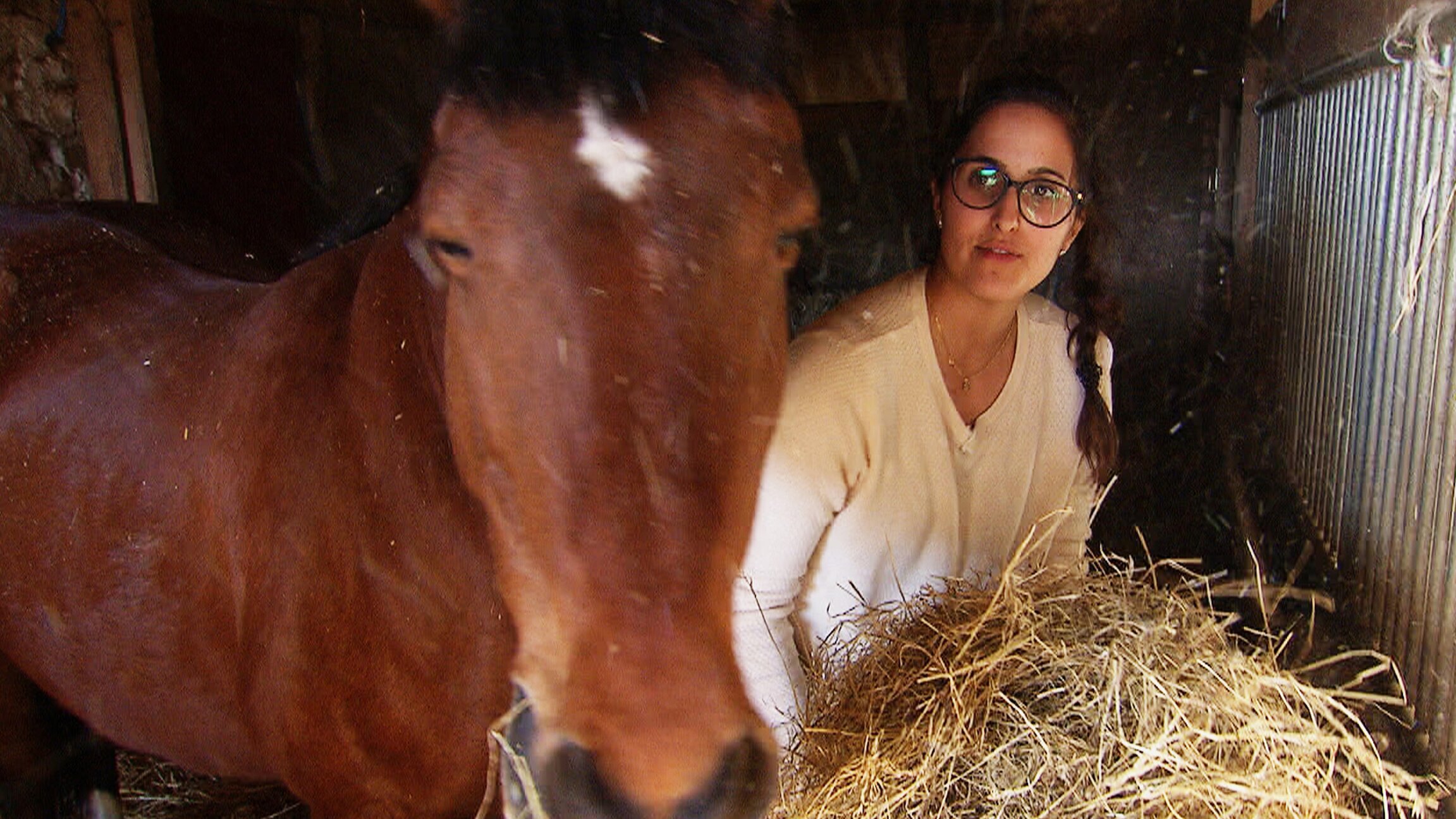 SRF bi de Lüt – Echte Tierhelden