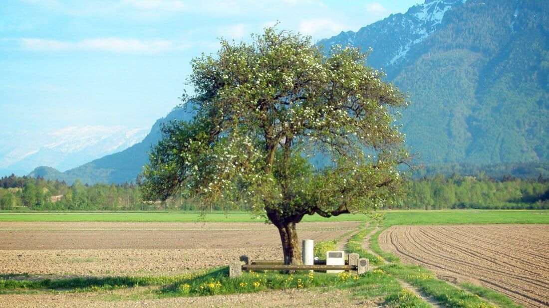 Untersberg – Sagenreiche Natur