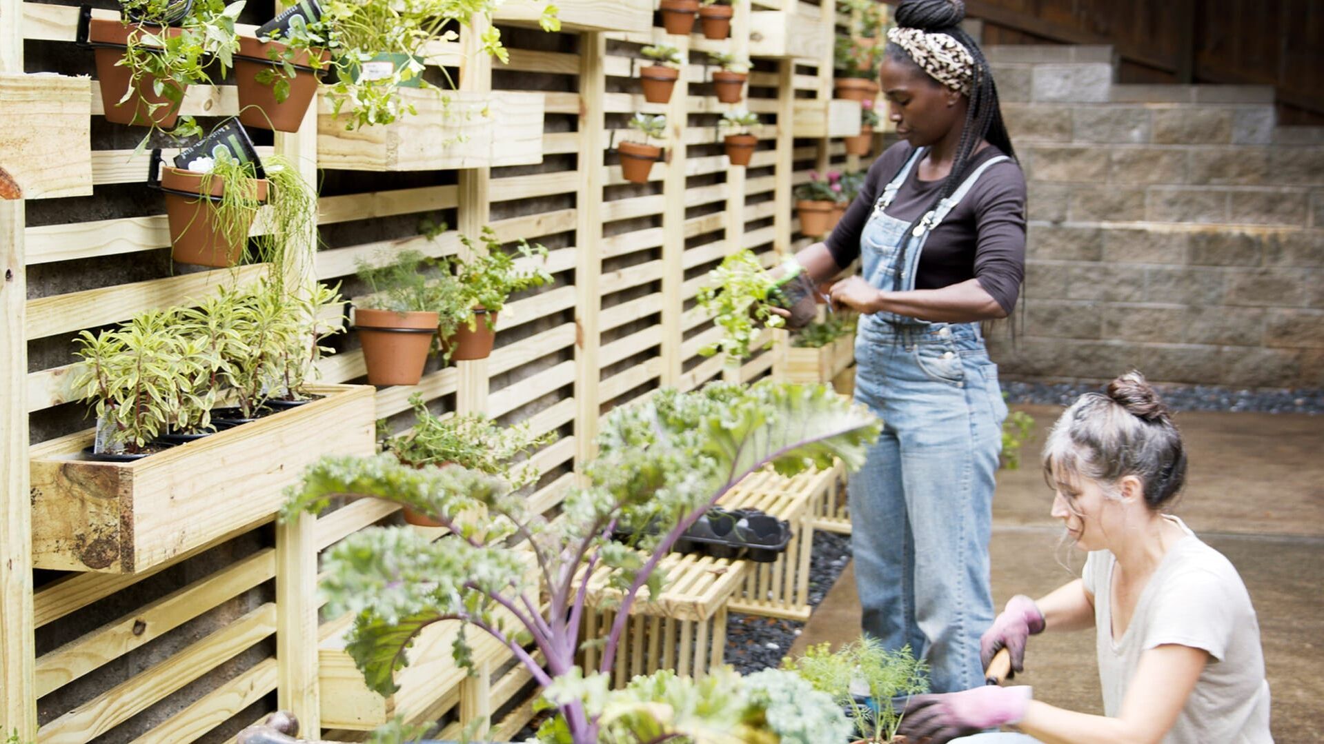 Homegrown – Aus Liebe zum Garten