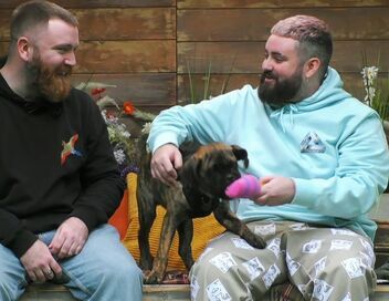 Dog House : un chien pour la vie