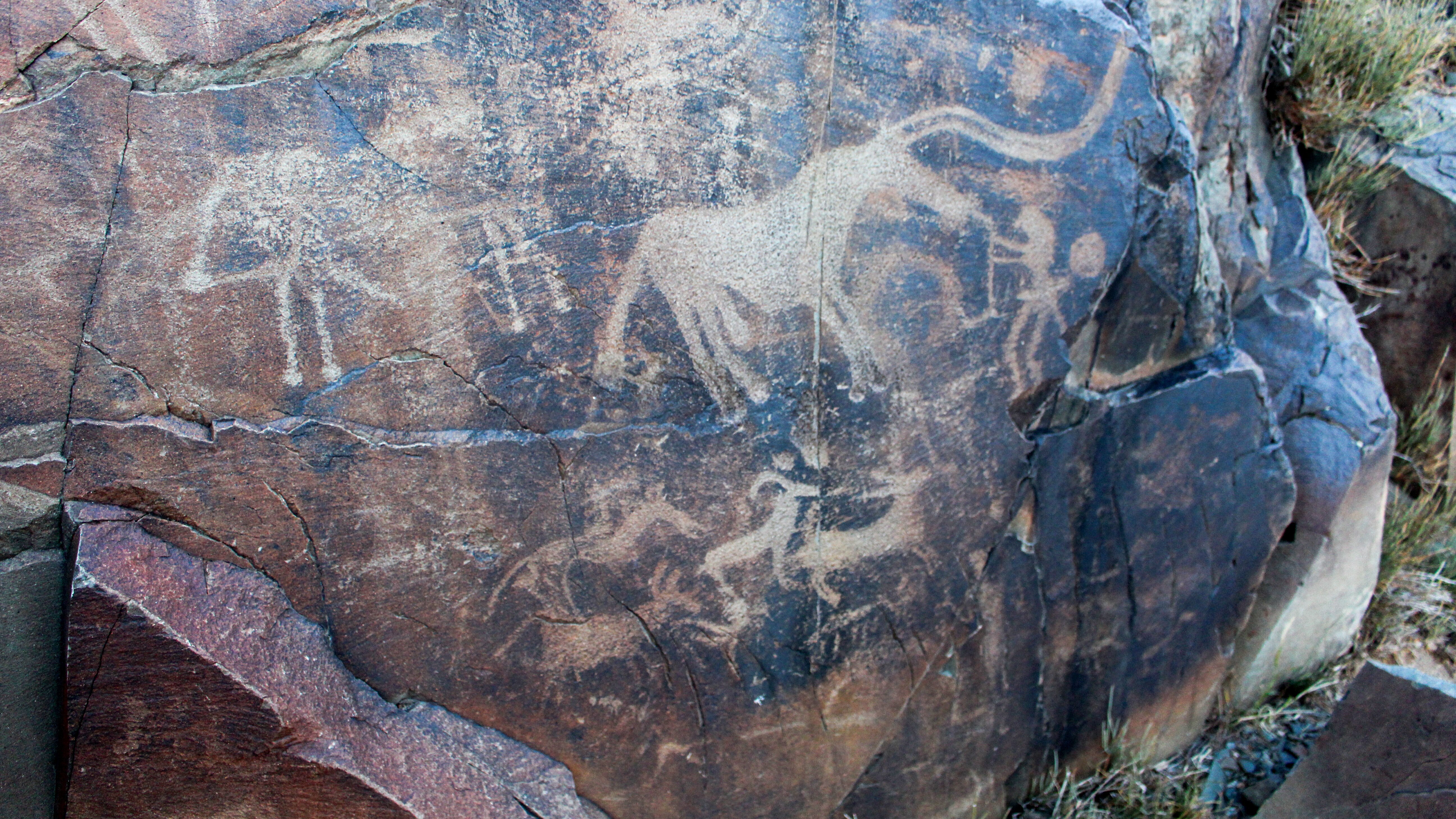 Amazonen – Die wehrhaften Frauen