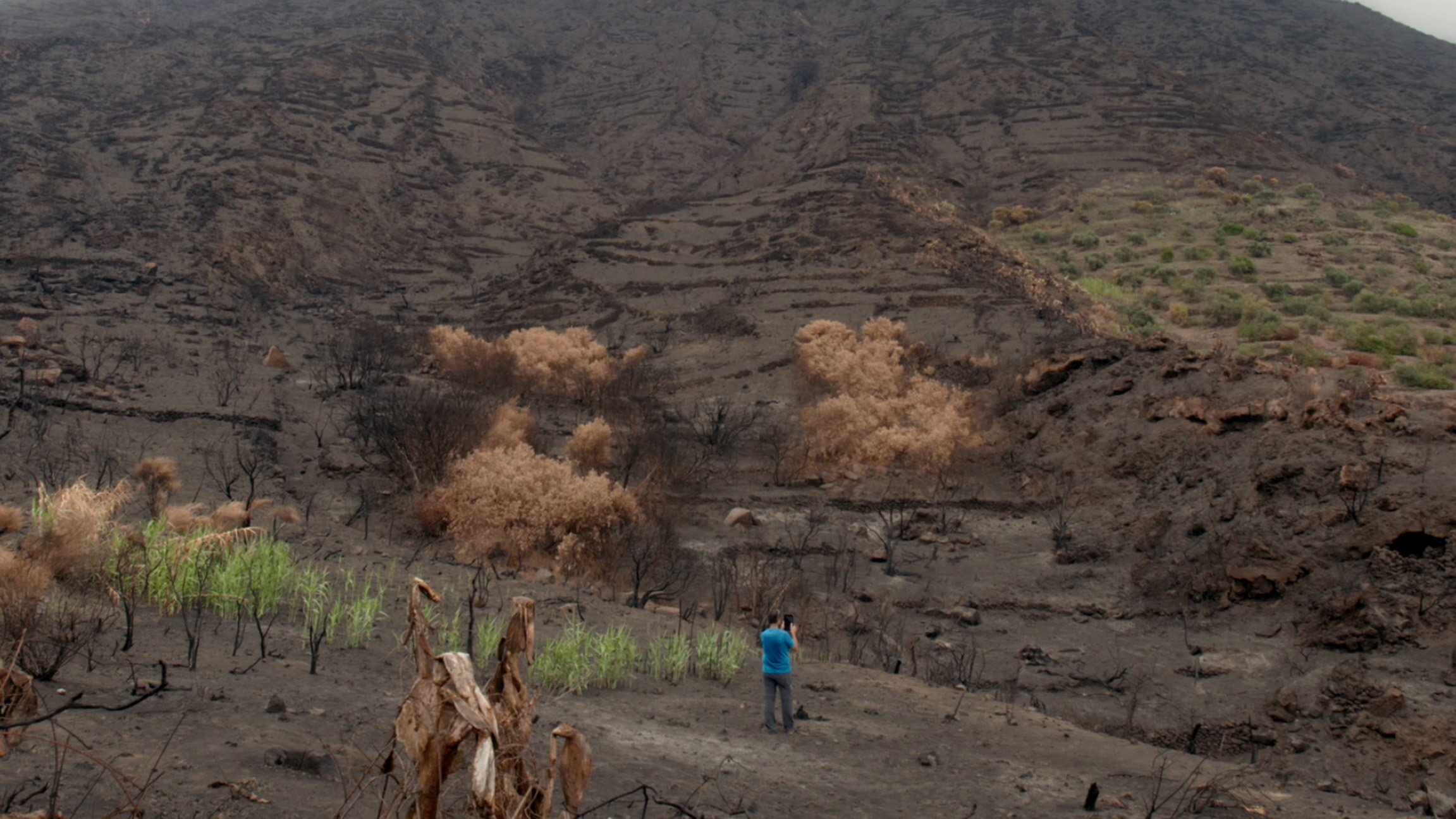 Iddu – Inselgeschichten