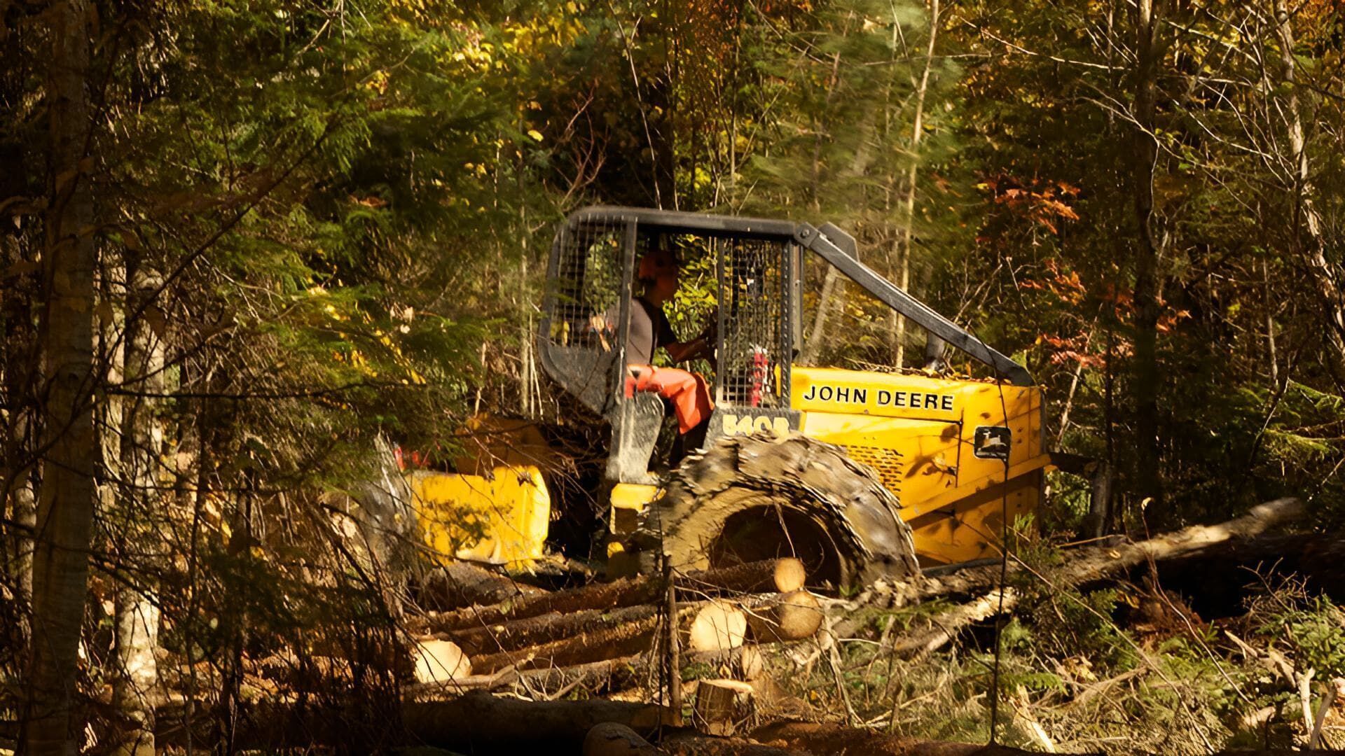 Holzfäller extrem