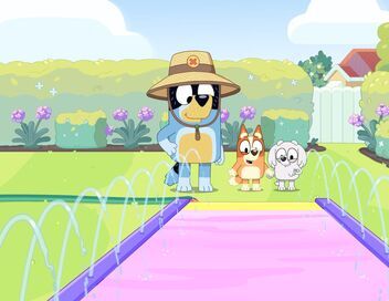 Bluey