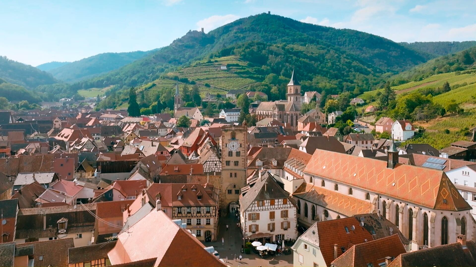 Das Elsass – Eine kulinarische Reise durch das Jahr