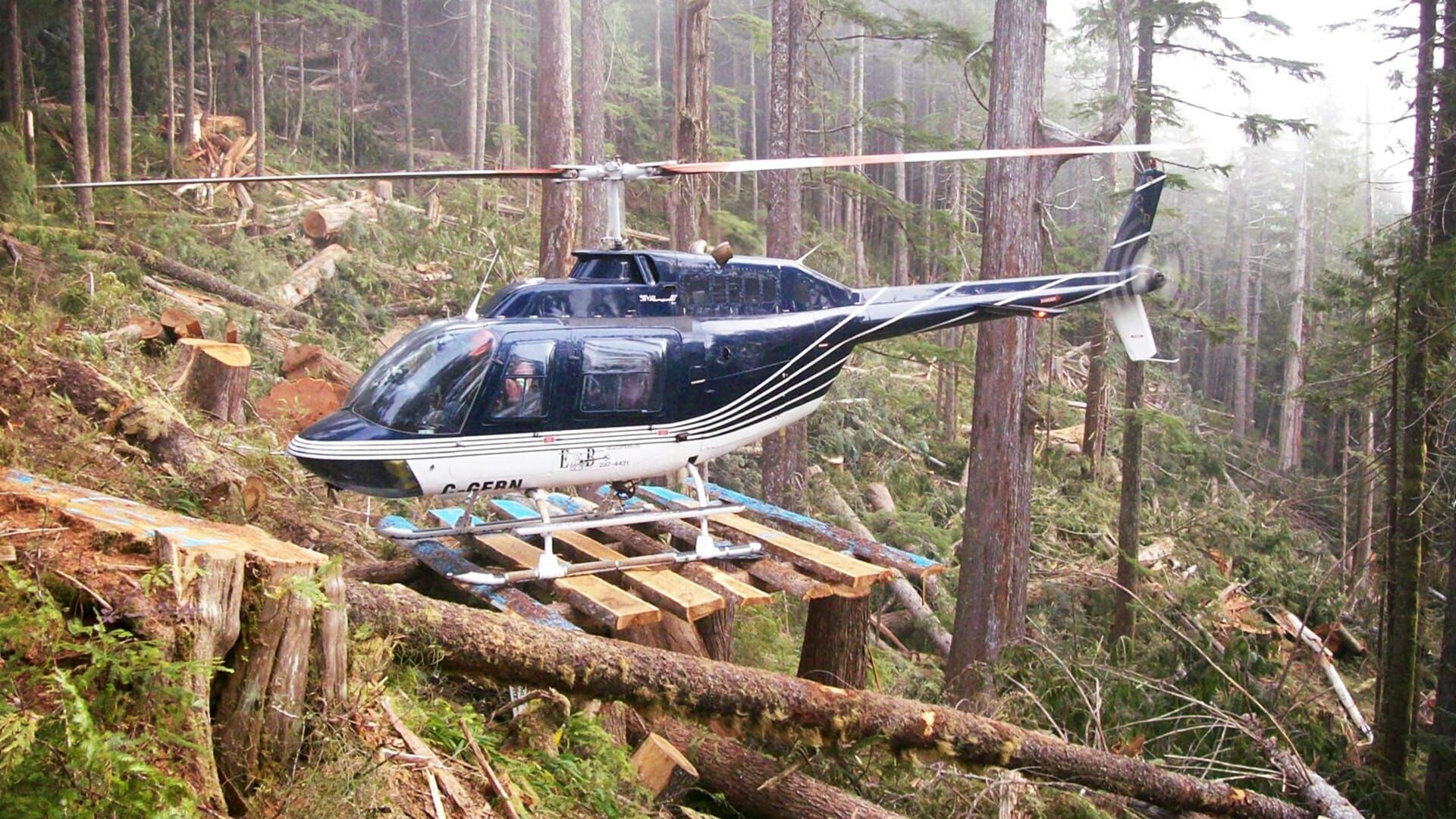 Holzfäller extrem