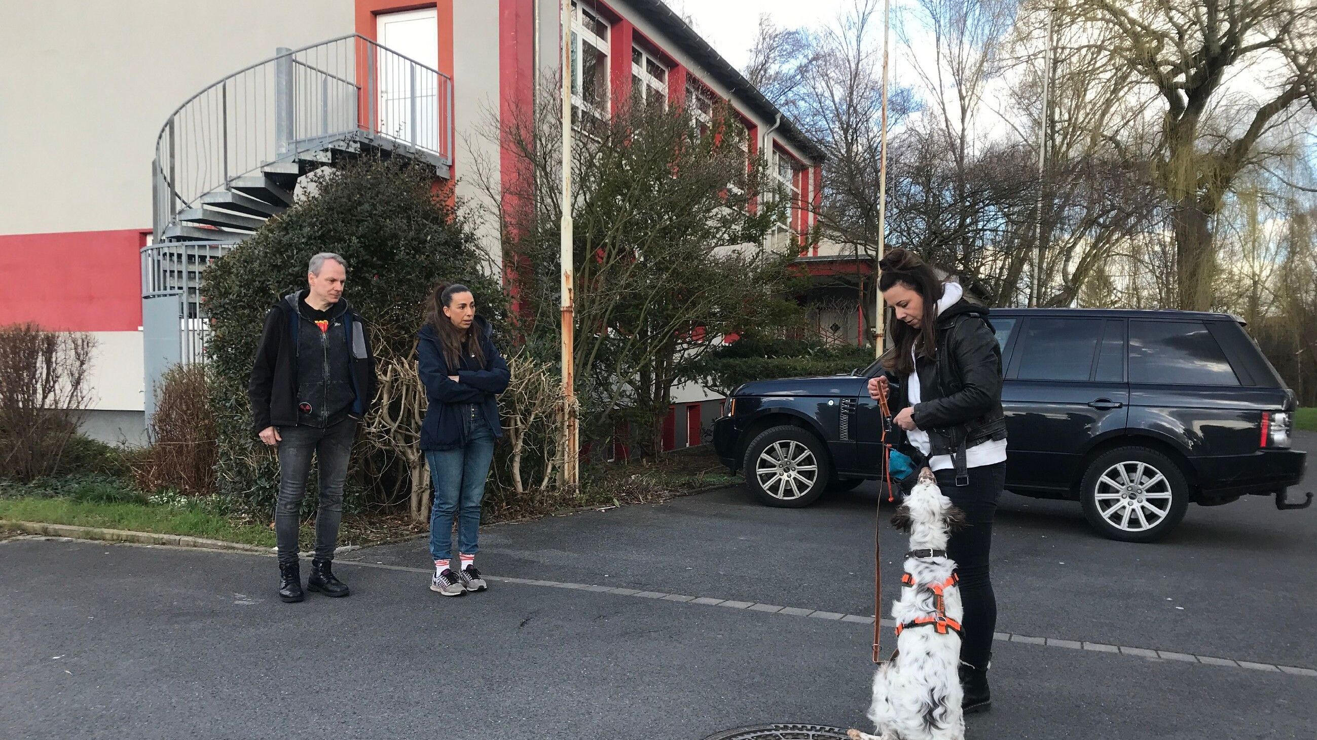 Der Hundeprofi – Rütters Team