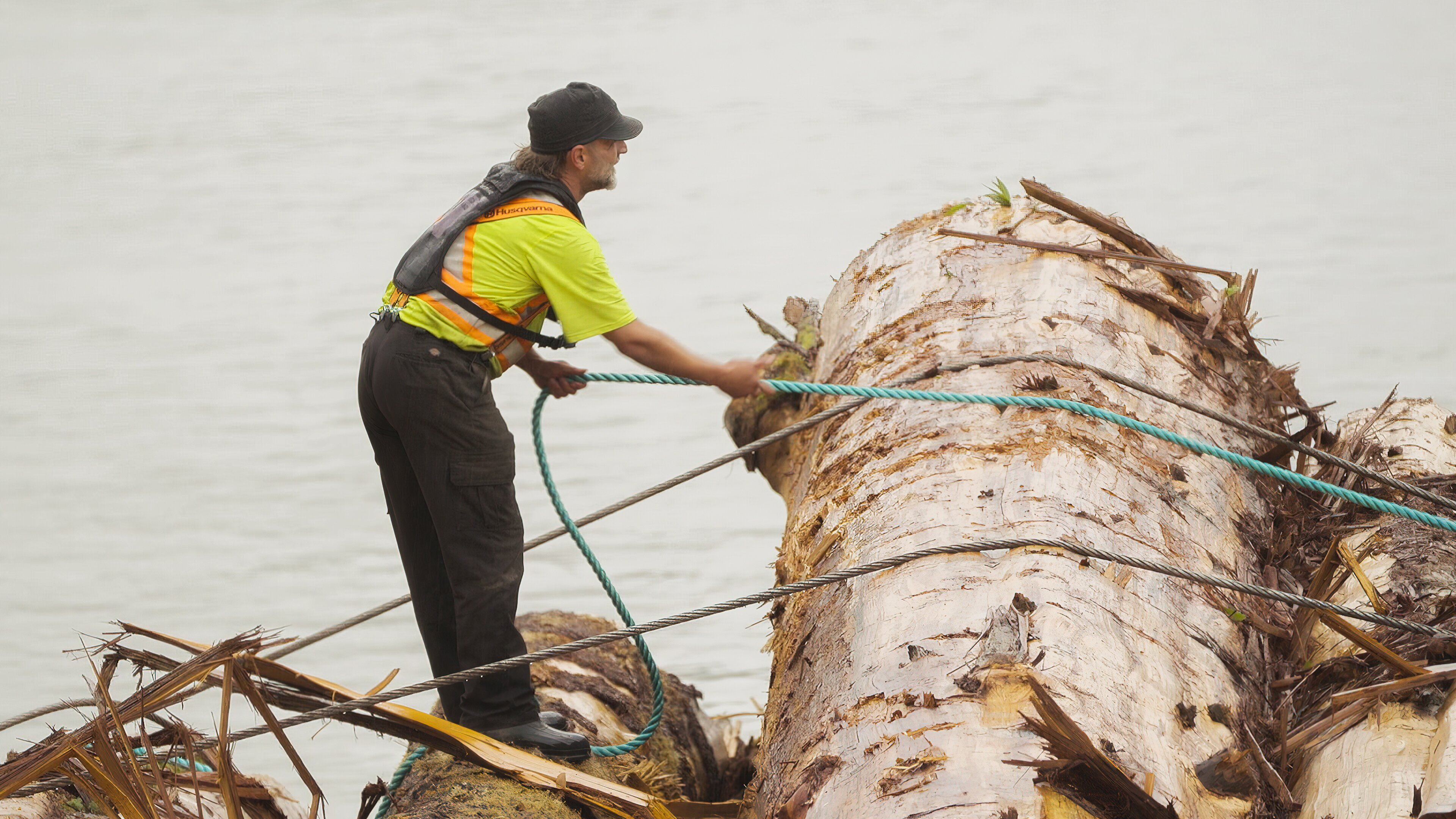 The Last Woodsmen – Holzfäller am Limit