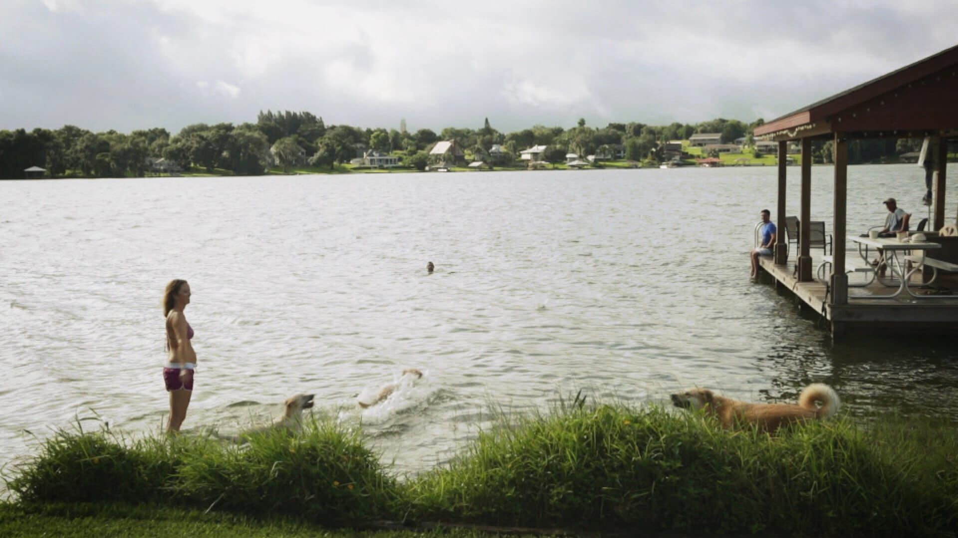 Traumhaus am See gesucht