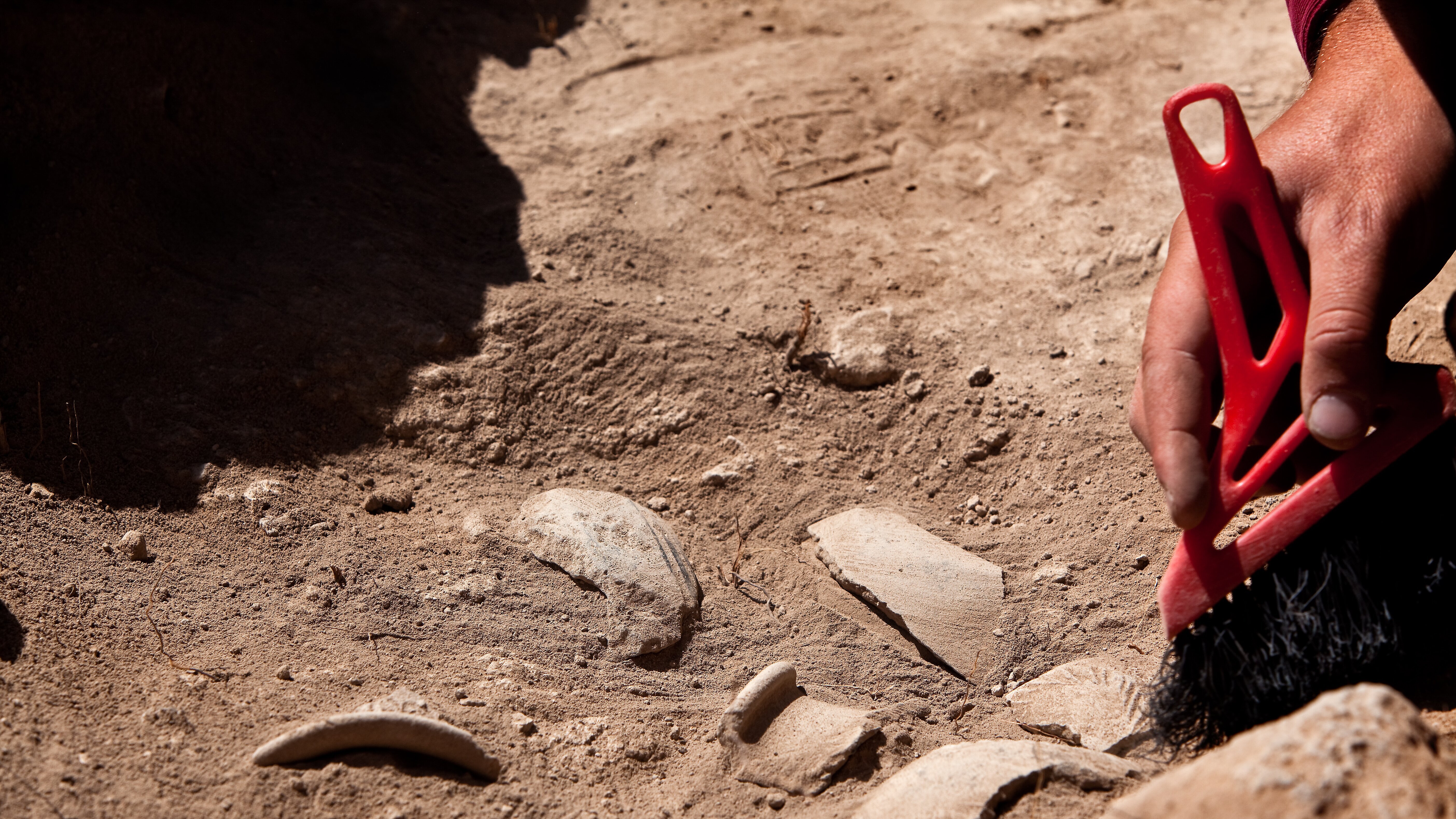 Verborgen in der Finsternis: Geheimnisse der Vergangenheit
