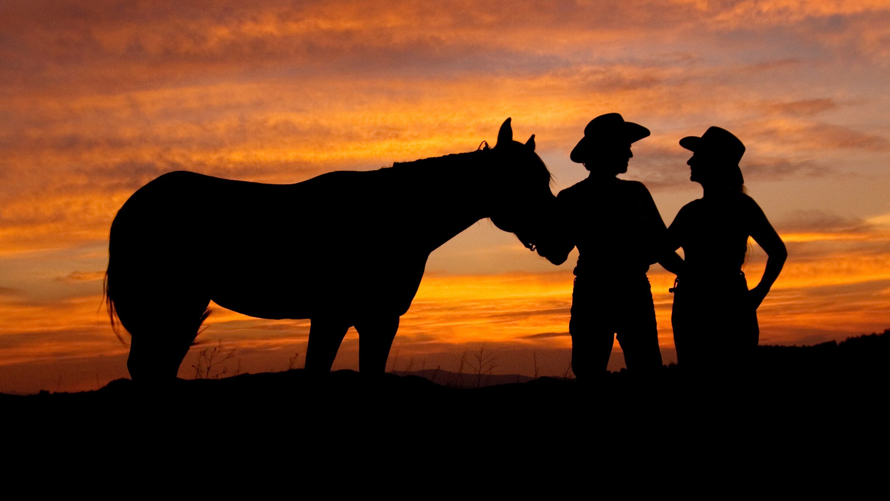 Reiten ins Abenteuer – Mit vier Mustangs durch den Wilden Westen