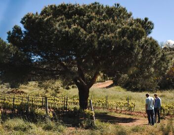 La terre et le sang