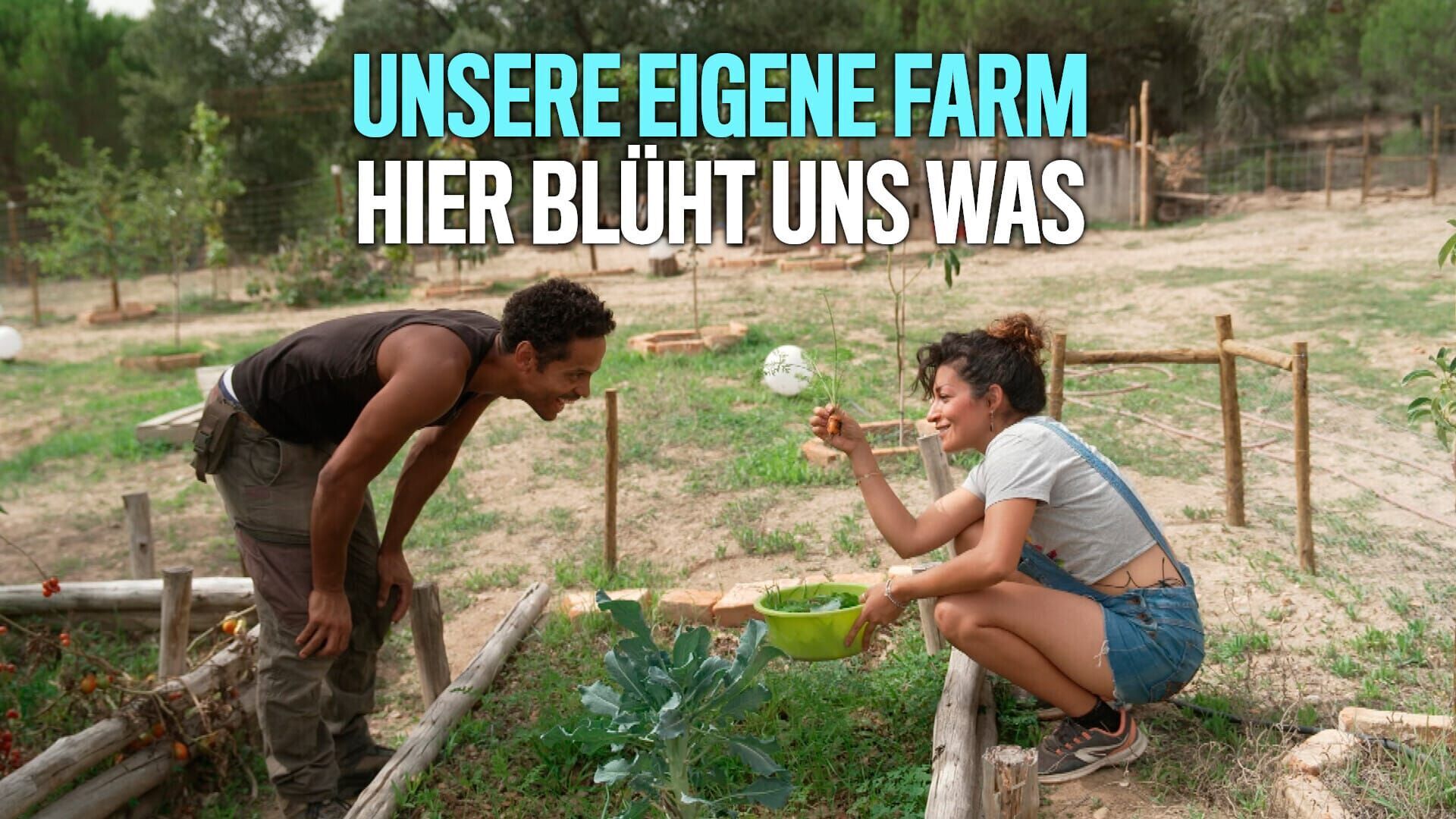Unsere eigene Farm – Hier blüht uns was!