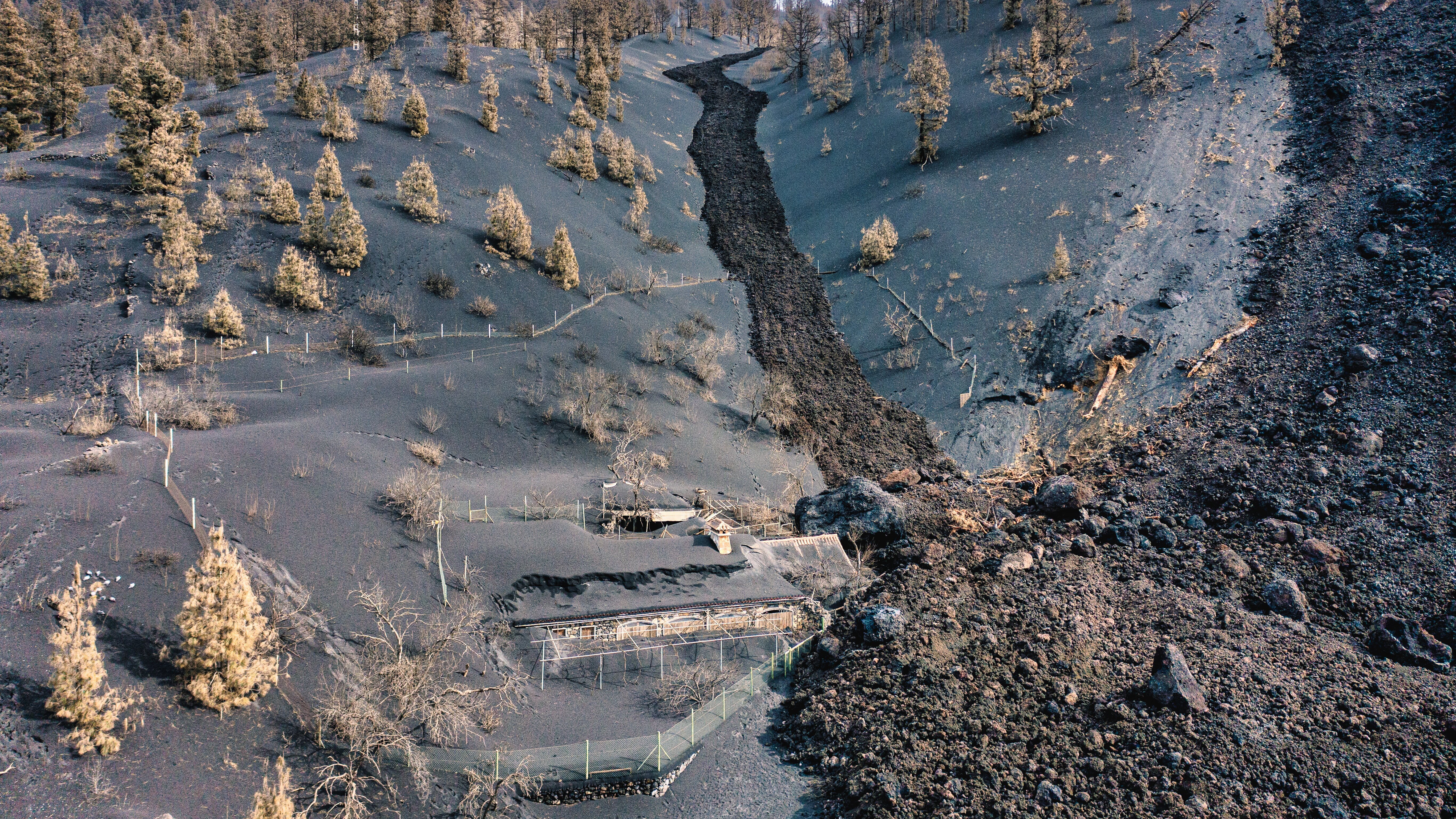 Faszination Erde – mit Dirk Steffens