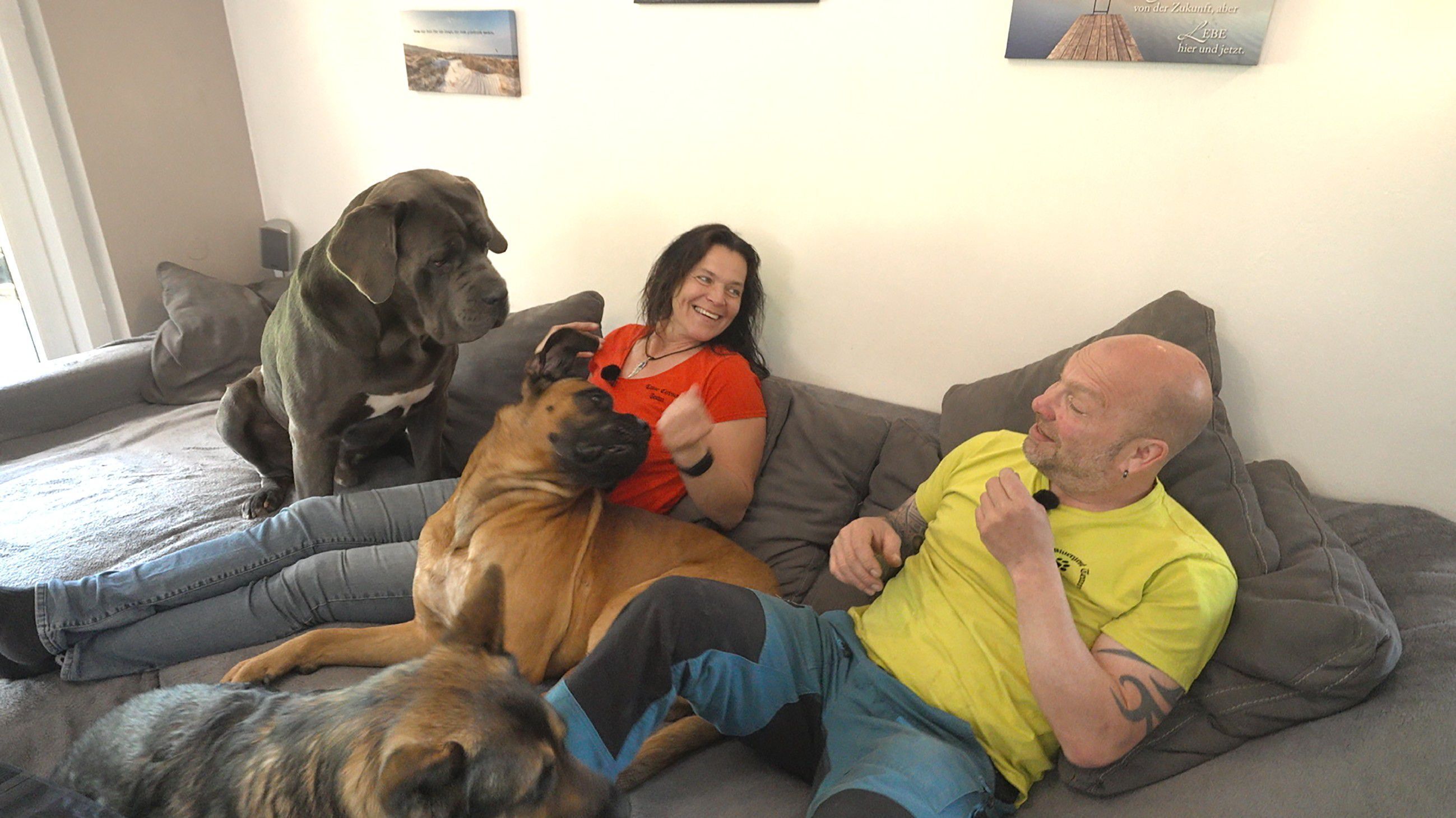 Die großen Hunde – Mit Martin Rütter