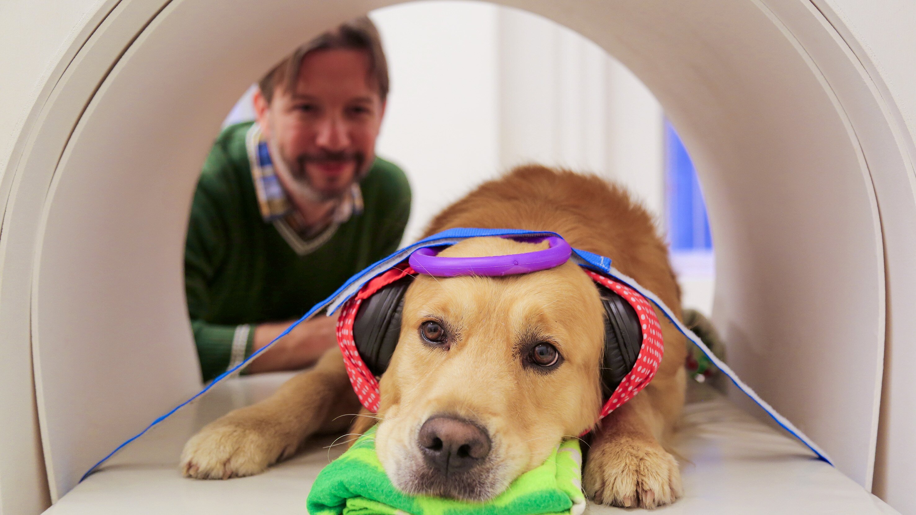 Können Hunde sprechen?