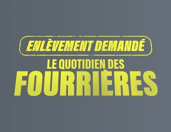 Enlèvement demandé : le quotidien des fourrières