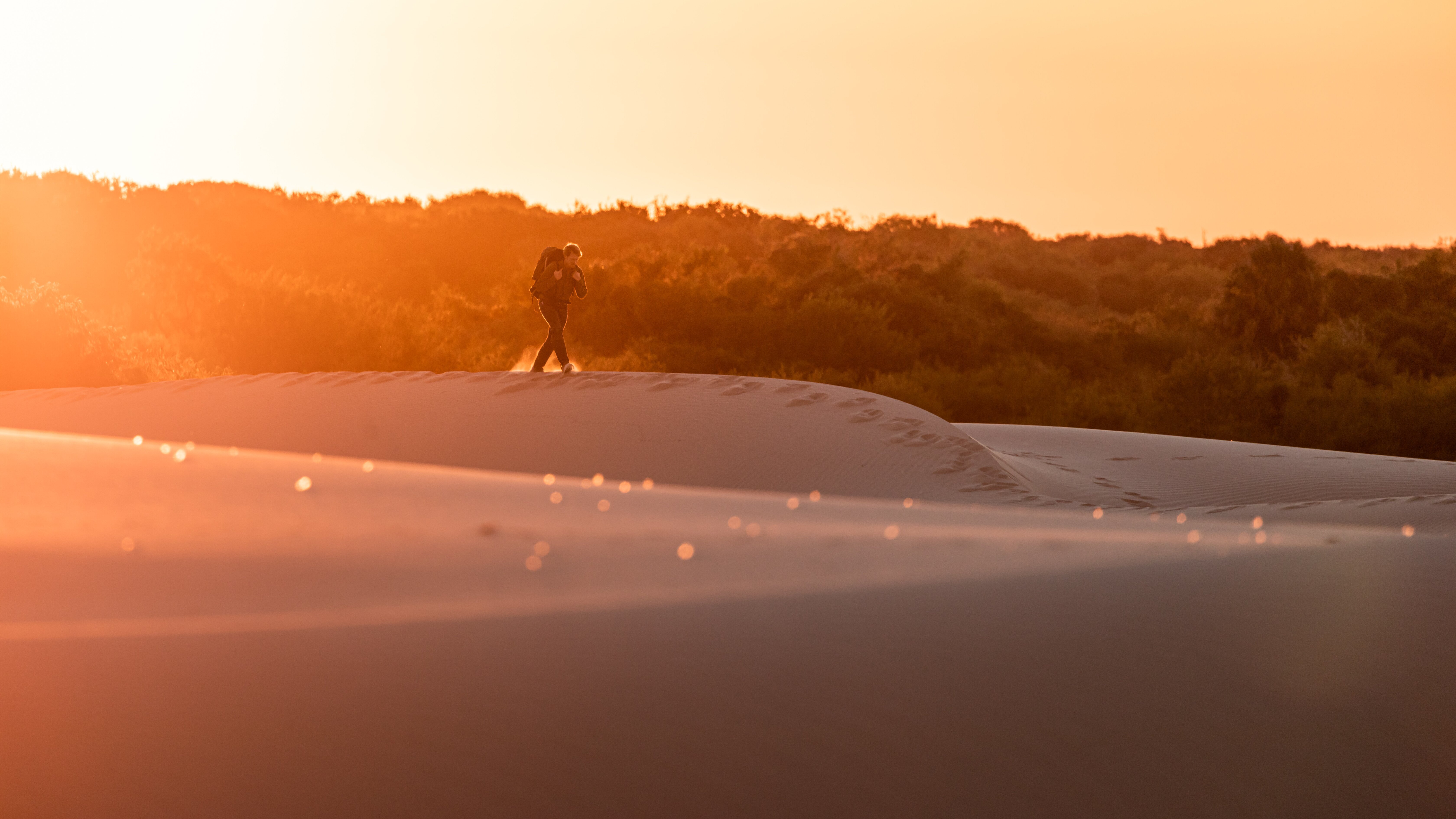 Der Ozelot – Eine Katze in Not
