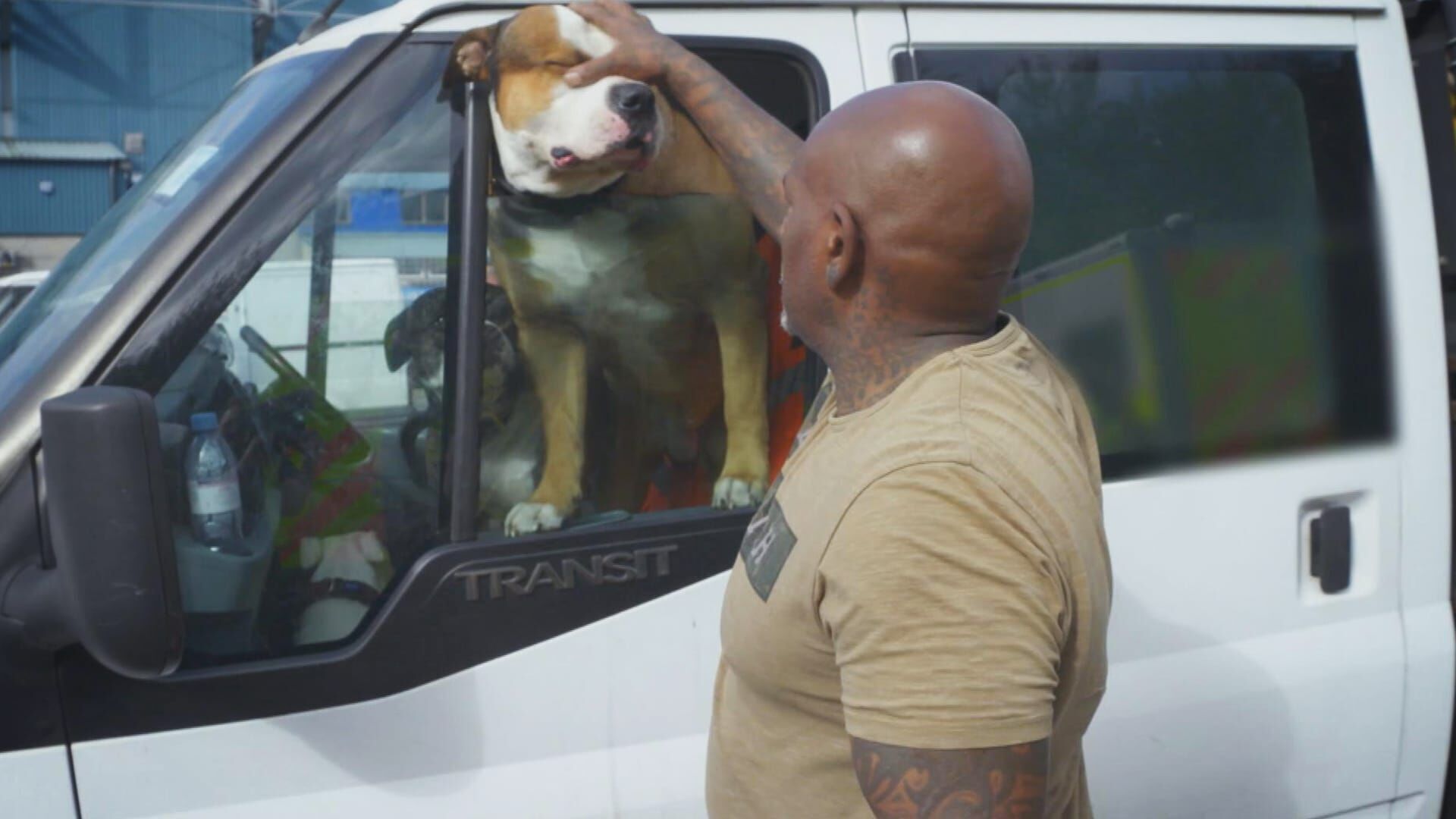 Car Pound Cops – Die Abschlepper vom Dienst